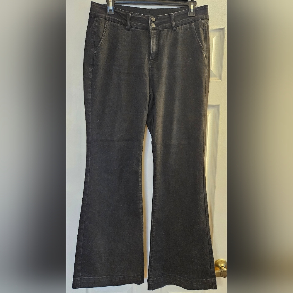 Lane Bryant Classic Black Women's Jeans